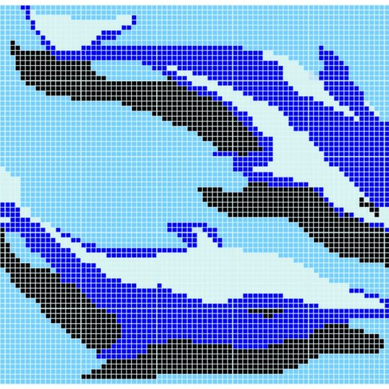 Q Dolphins